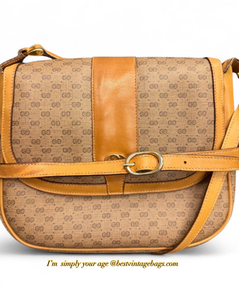Gucci Micro GG vintage handbag